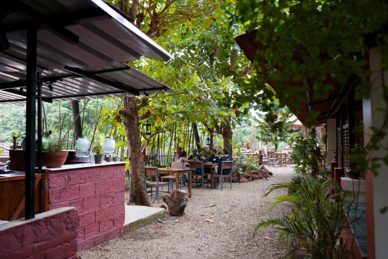 Terraria Stay And Cafe Canacona Exterior photo